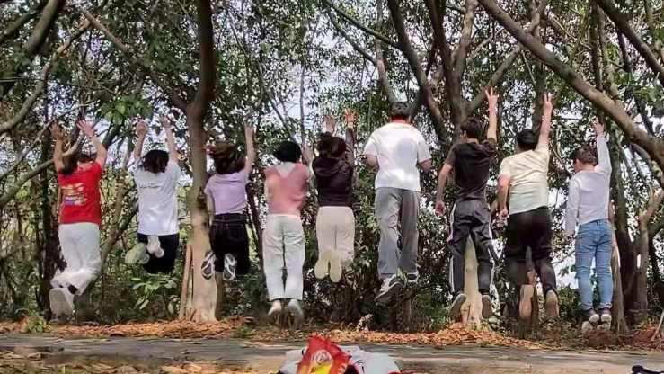 非凡国际|微电子|芯片 非凡国际|微电子|芯片