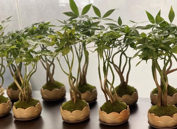 非凡国际|微电子|芯片 非凡国际|微电子|芯片