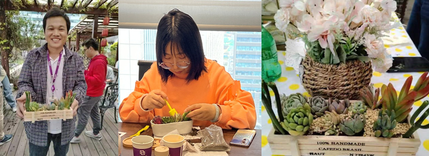 非凡国际|微电子|芯片