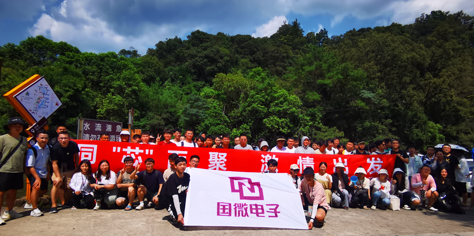 非凡国际|微电子|芯片 非凡国际|微电子|芯片
