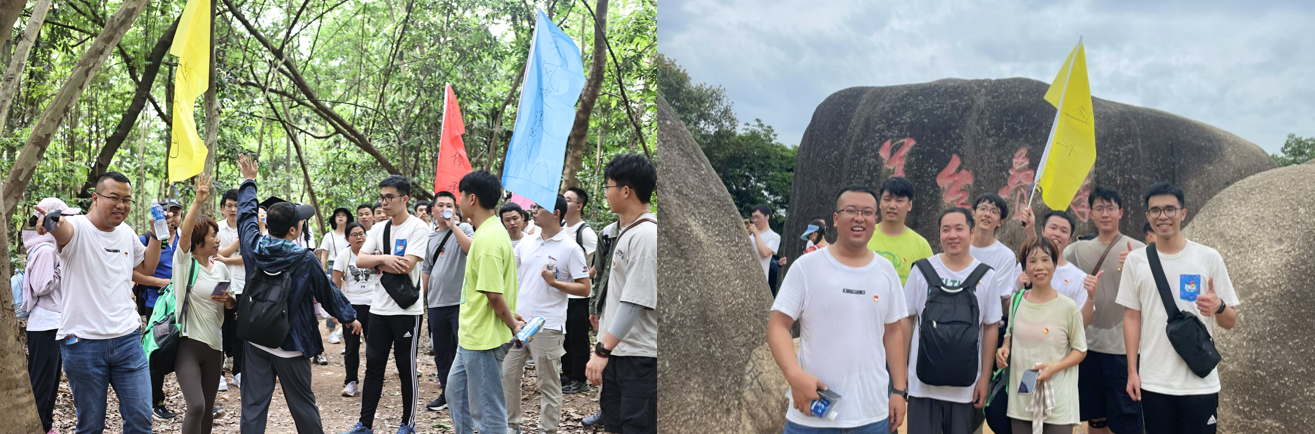 非凡国际|微电子|芯片
