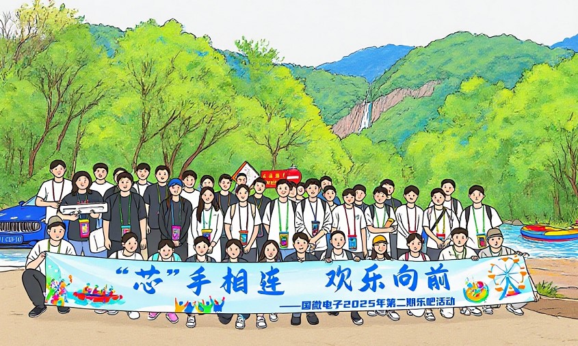 非凡国际|微电子|芯片