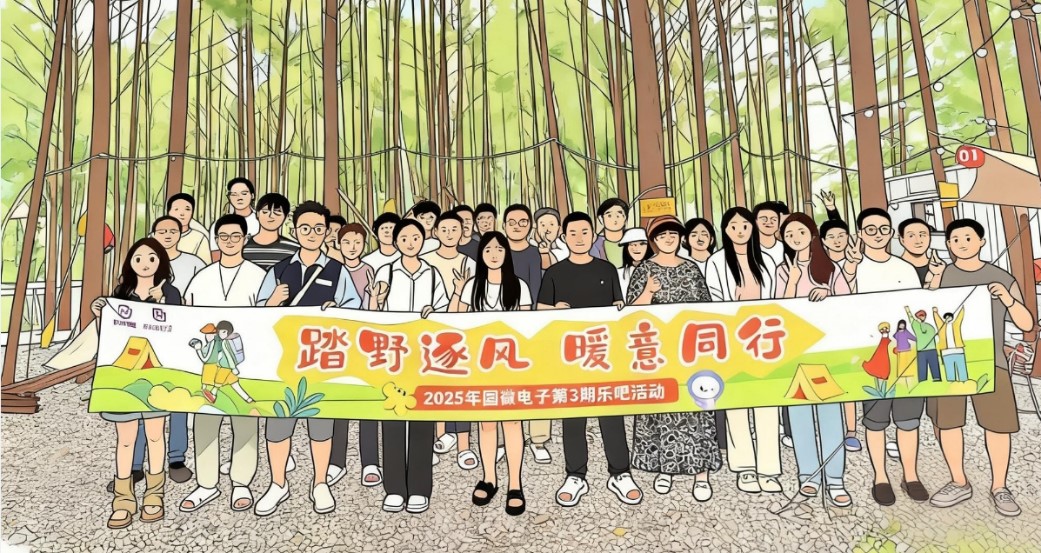 非凡国际|微电子|芯片