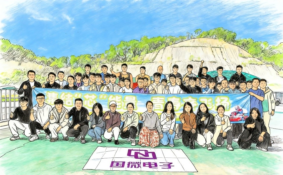 非凡国际|微电子|芯片