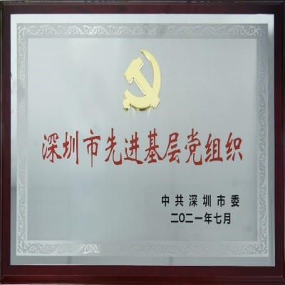百年华诞，喜获殊荣——非凡国际电子党总支荣获“深圳市先进基层党组织”称号