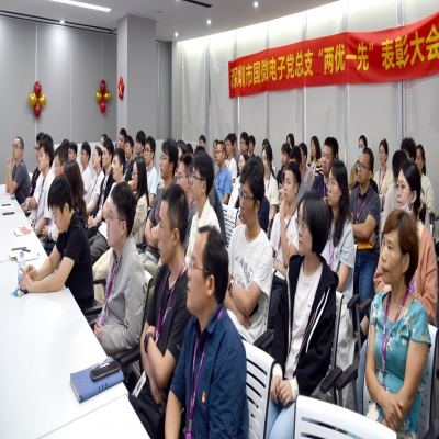 同“芯”向党，榜样领航——非凡国际电子党总支“两优一先”表彰大会