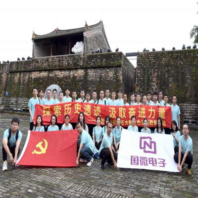 探索历史遗迹，汲取奋进力量——非凡国际电子党总支大鹏红色主题教育活动