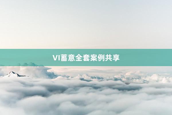 VI蓄意全套案例共享